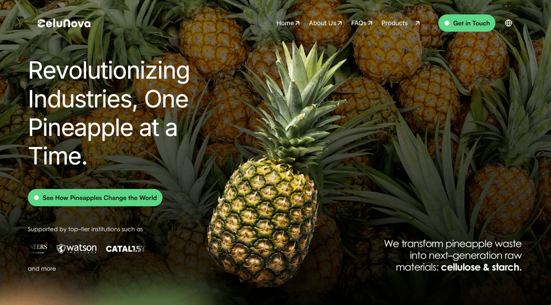 celunova.com.mx website homepage built with Framer