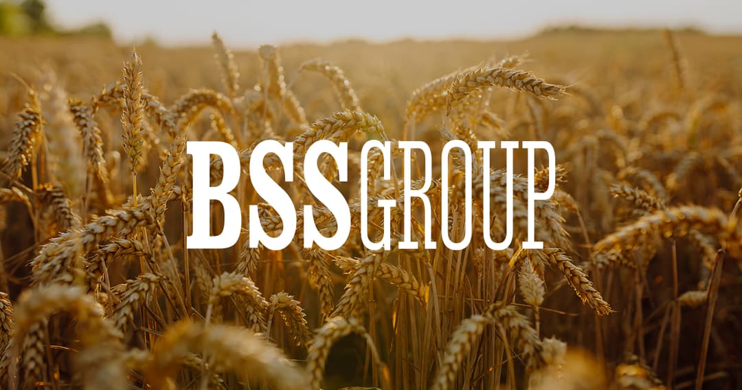 BSS-GROUP website homepage built with Framer