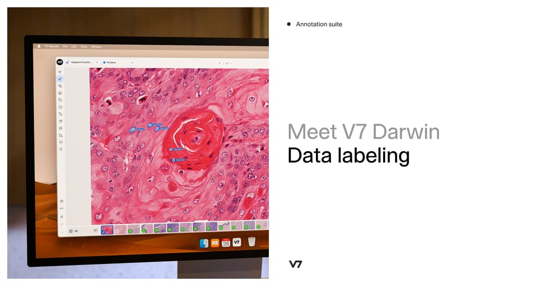 Darwin • V7 Labs website homepage built with Framer