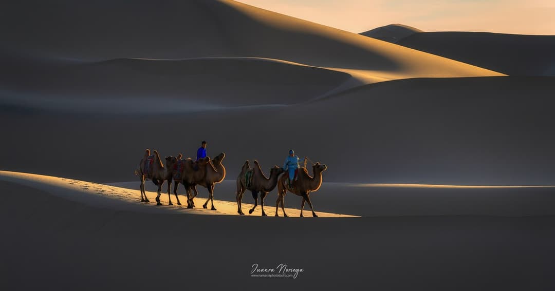Namaste Photo Tours website homepage built with Framer