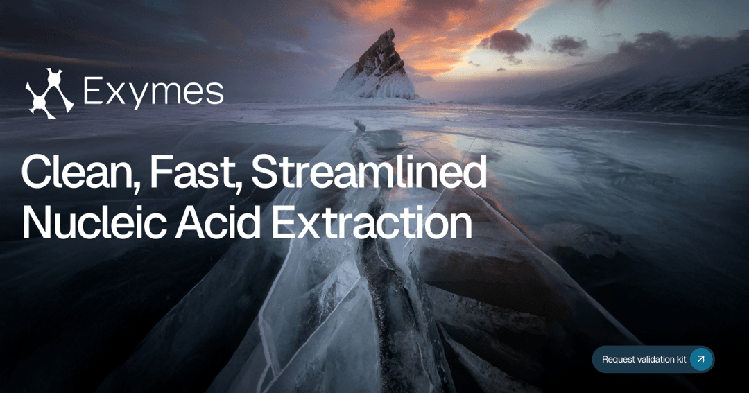 exymesplc website homepage built with Framer