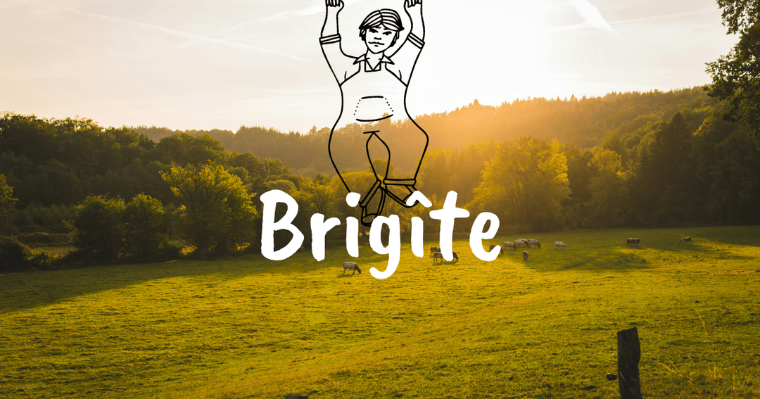 Brigîte • Cottage booking website website homepage built with Framer