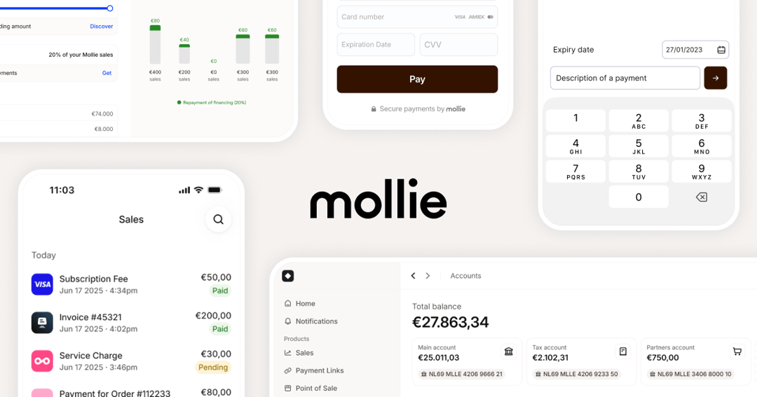 Mollie website homepage built with Framer