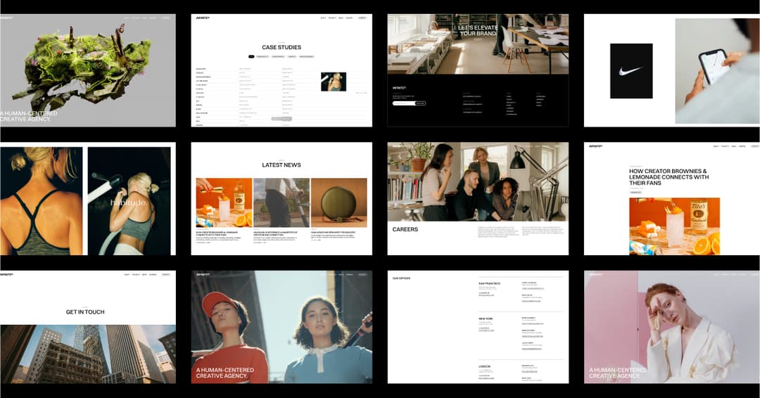 Field day website homepage built with Framer