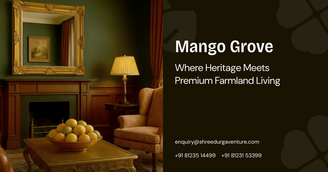 MAngo Grove website homepage built with Framer