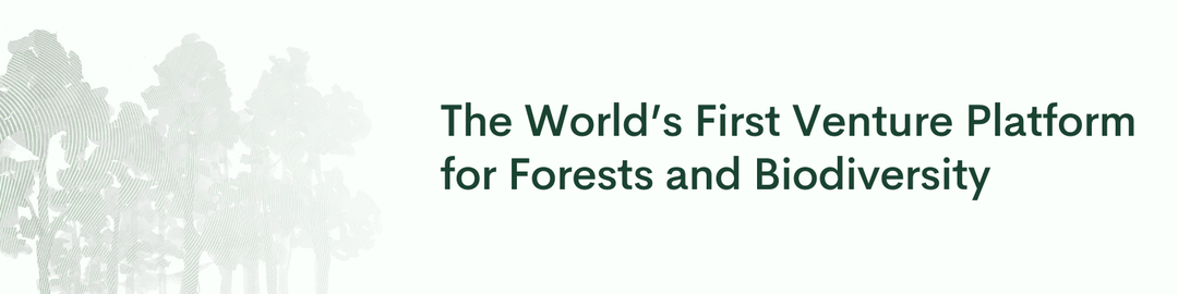 brainforest website homepage built with Framer