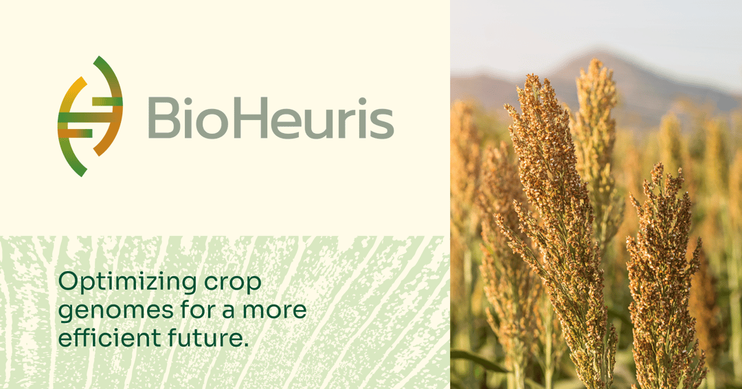 Bioheuris website homepage built with Framer