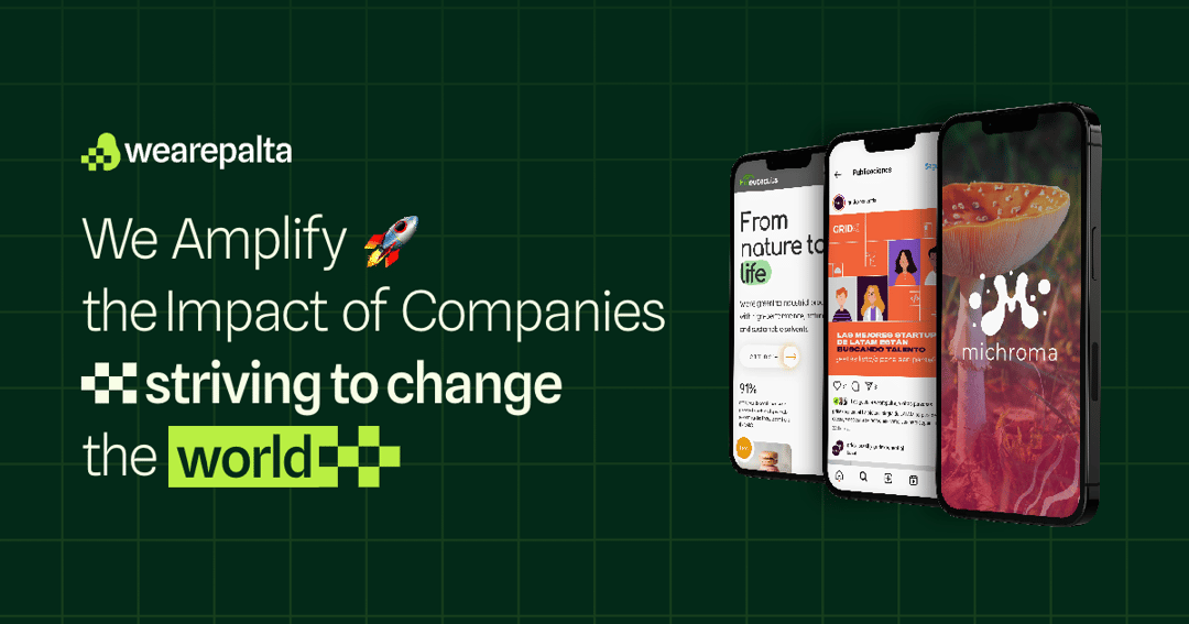 We Are Palta website homepage built with Framer