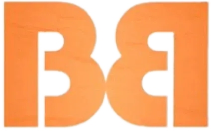 Bibru S.r.l website homepage built with Framer