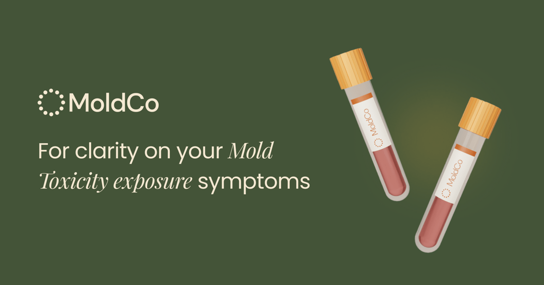 MoldCo website homepage built with Framer