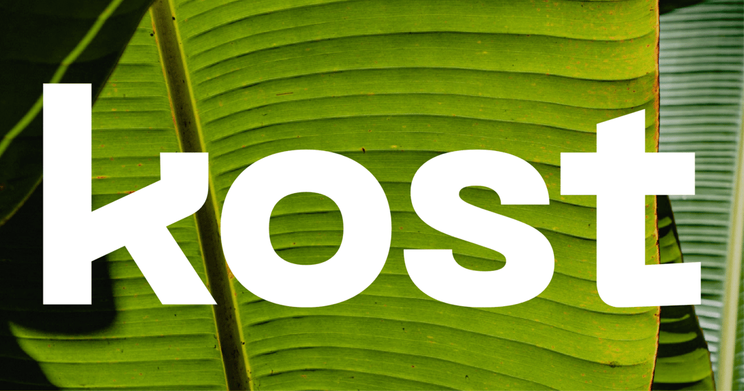 Kost website homepage built with Framer