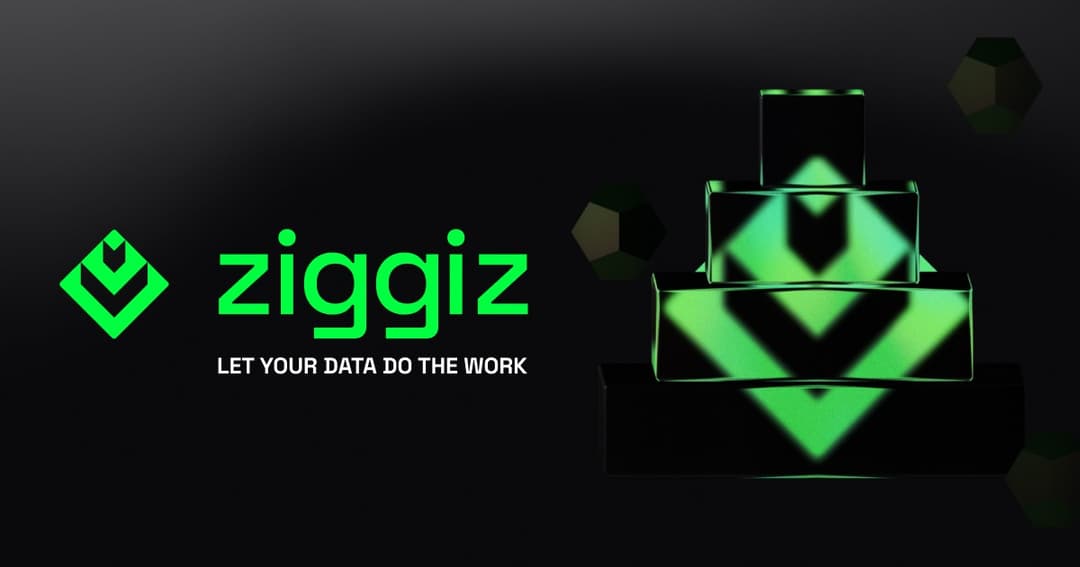 Ziggiz website homepage built with Framer