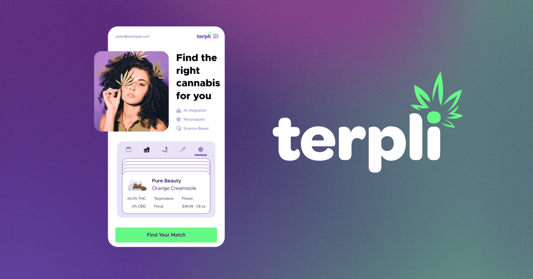 terpli website homepage built with Framer