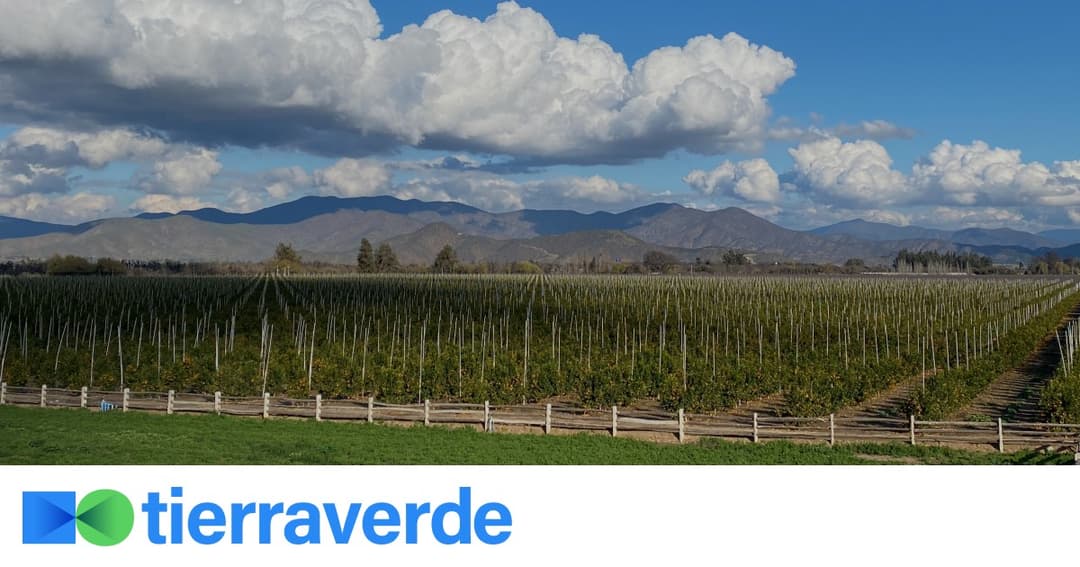 Tierraverde website homepage built with Framer