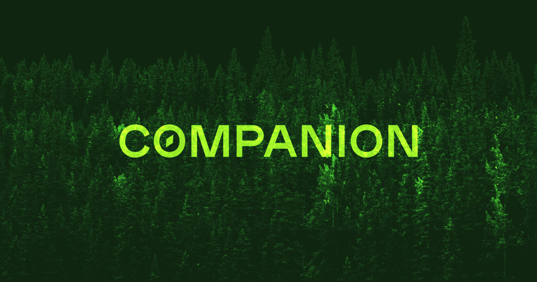 companion website homepage built with Framer