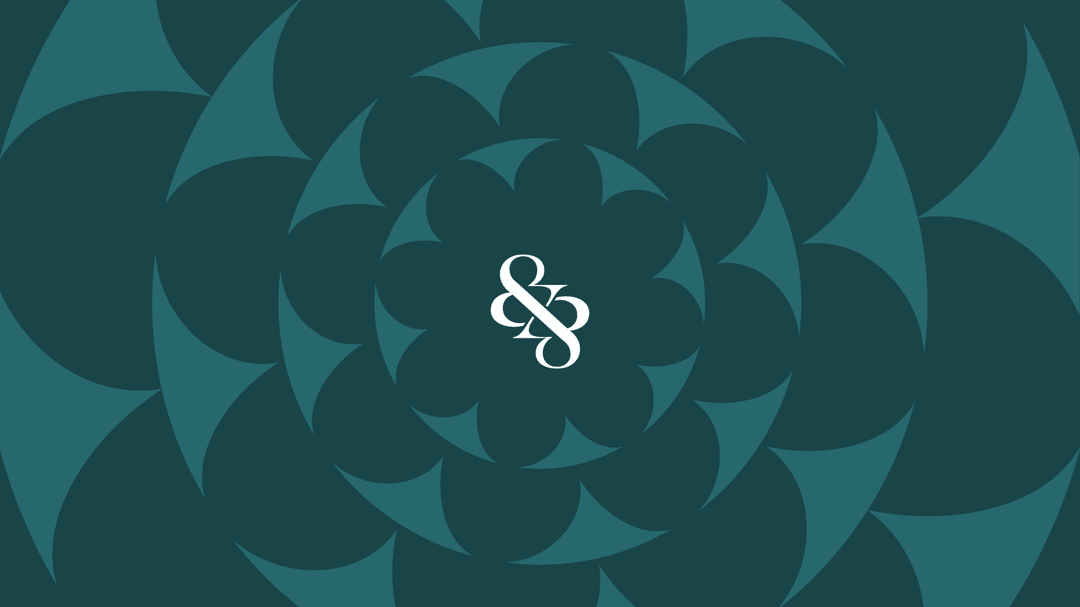 intasectstudio website homepage built with Framer