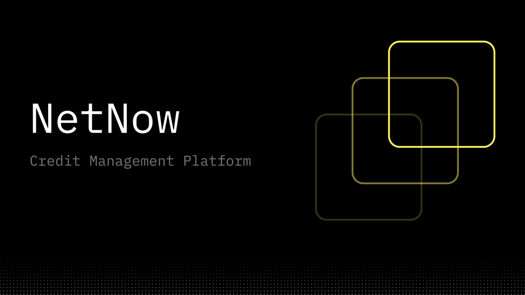 netnow website homepage built with Framer