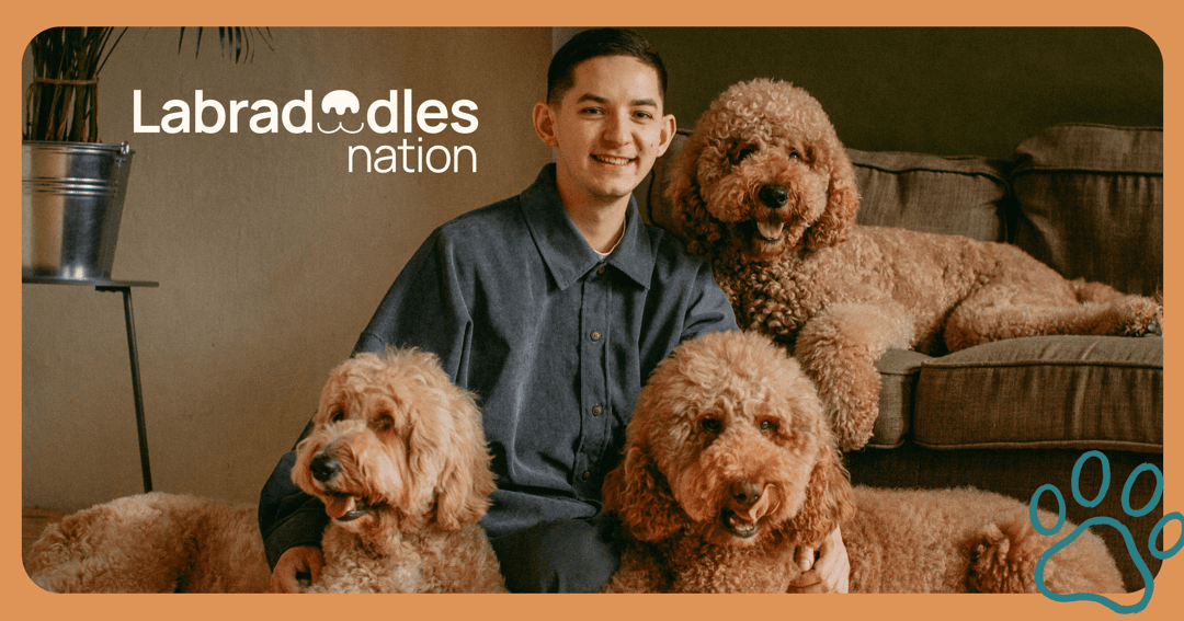 Labradoodles Nation website homepage built with Framer