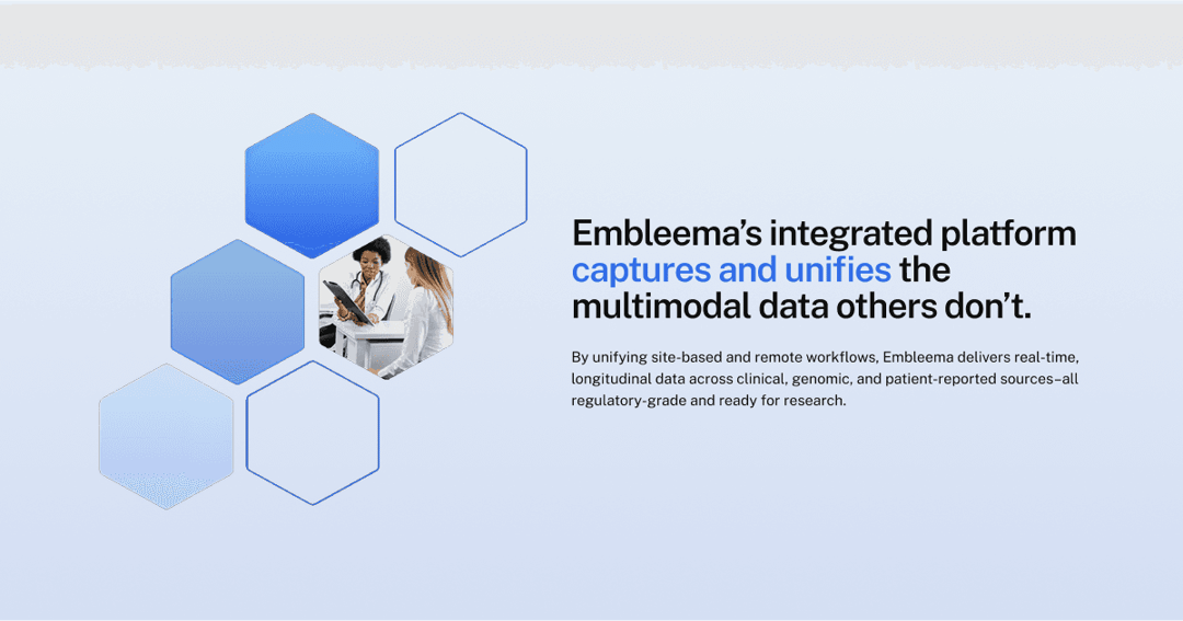 Embleema website homepage built with Framer