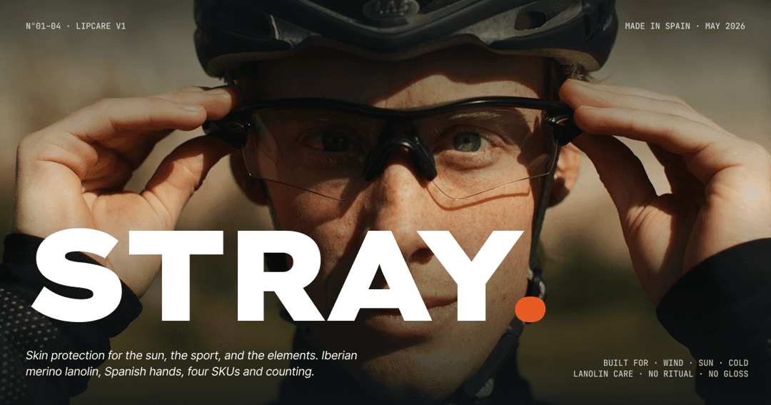 STRAY website homepage built with Framer