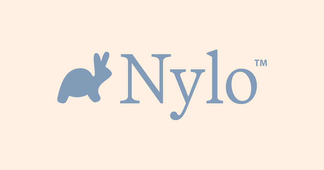 Nylo website homepage built with Framer