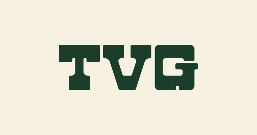 The Visionary Group - Agency website homepage built with Framer