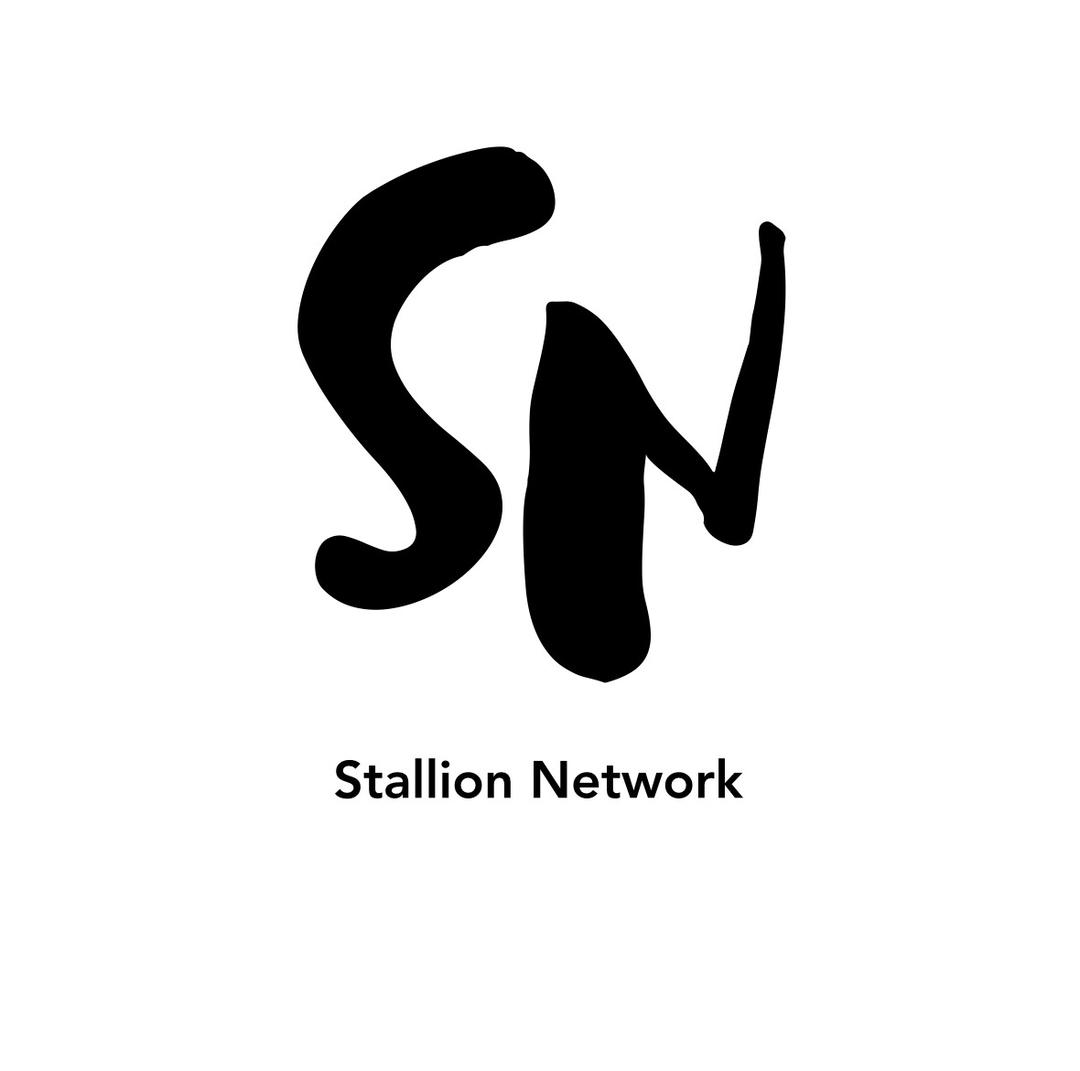 Stallion Network website homepage built with Framer