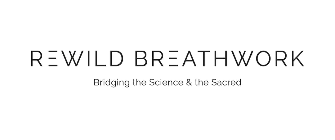 RewildBreathwork website homepage built with Framer