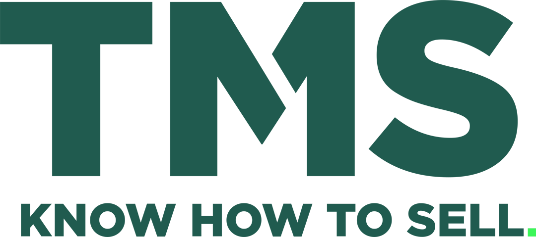 tmsgmbh website homepage built with Framer