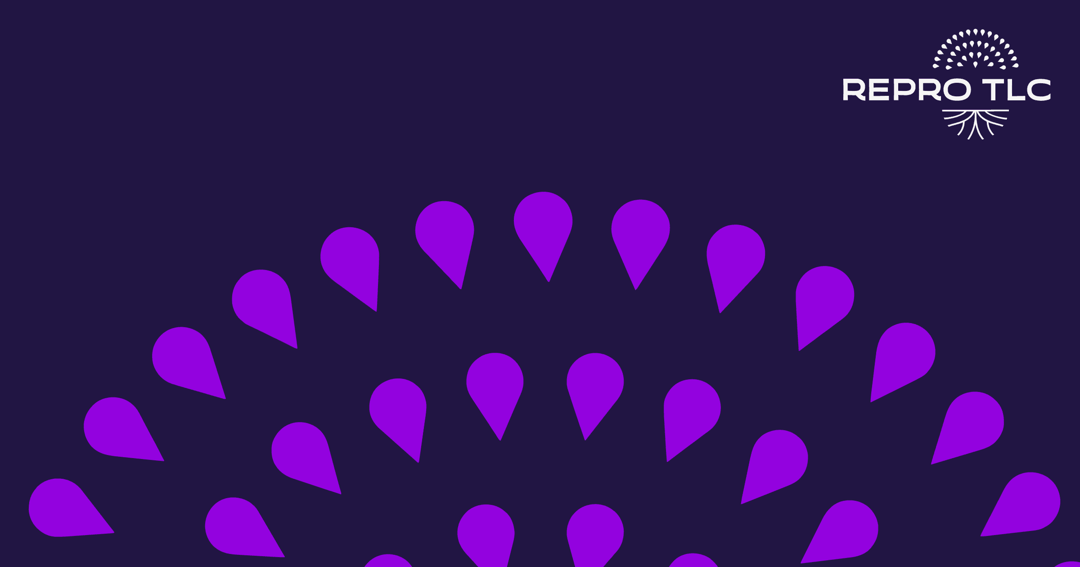 reprotlc website homepage built with Framer