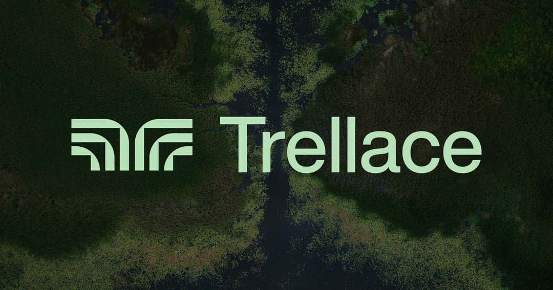 Trellace website homepage built with Framer