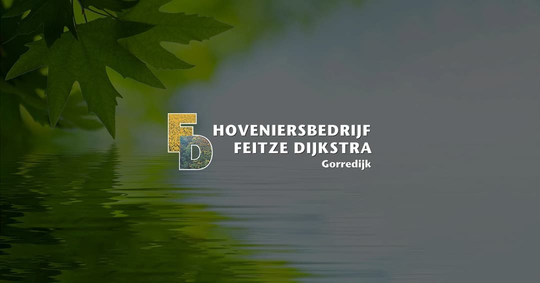Feitze Dijkstra website homepage built with Framer